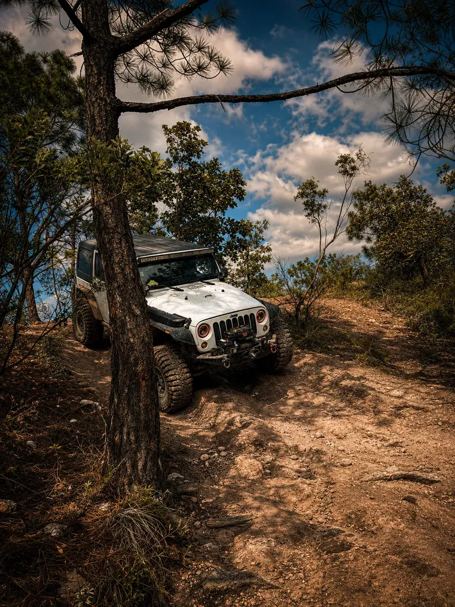 Jeep descendiendo una pendiente técnica entre pinos